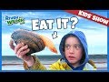 Kids catch and eat mystery seafood on pei beach  kids fun  river  wilder