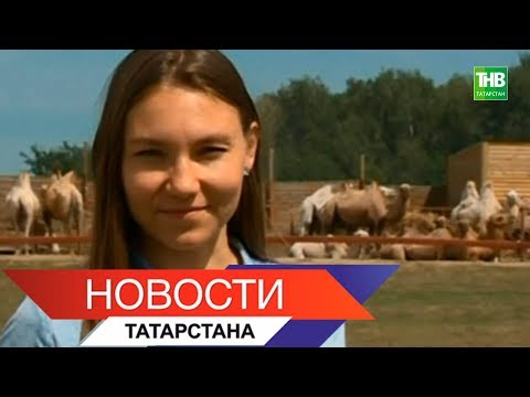 Лейсан Хамадиева-индийский танец "Мани". г.Н.Челны.из YouTube · Длительность: 3 мин41 с Лейсан Хамадиева-индийский танец "Мани". г.Н.Челны.из YouTube · Длительность: 3 мин41 с