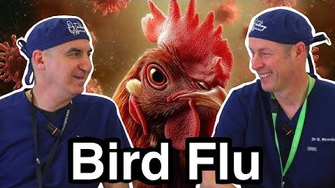 Bird Flu 101: Do Humans Need To Worry?