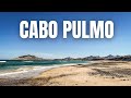 The Most MAGICAL Place in Los Cabos - Cabo Pulmo, Baja California Sur