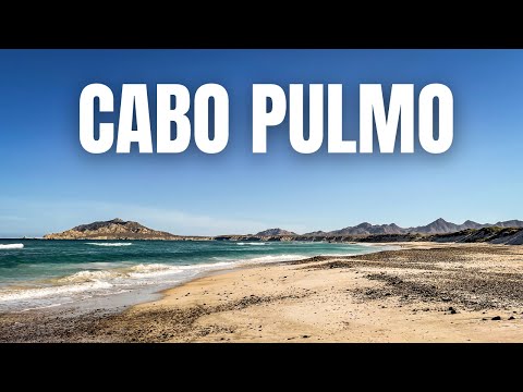 Vidéo: Parc national de Cabo Pulmo : le guide complet