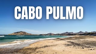 The Most MAGICAL Place in Los Cabos  Cabo Pulmo, Baja California Sur