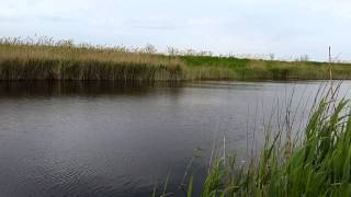 Рыбалка на реке молочной в с.Чапаевка