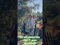 @TrioAloha #music #coversong #reggae #dancing #chasethedevil #trioaloha
