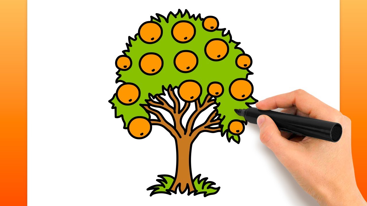 Comment Dessiner Un Oranger (Tutoriel De Dessin Facile) - YouTube