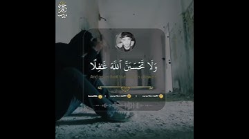 تلاوه نادره بصوت القارئ حمزة بوديب شعور لا يوصف 🥺🥺🥀