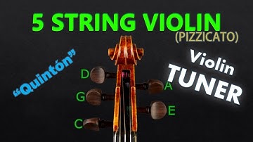 5-String Violin Tuning - Five String Violin Tuner (Pizzicato) (A=440)