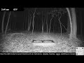 Wildlife Live Cam - Critter Cam