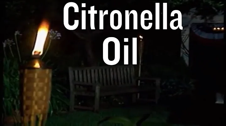 How to dispose of citronella torch fuel? (2023)