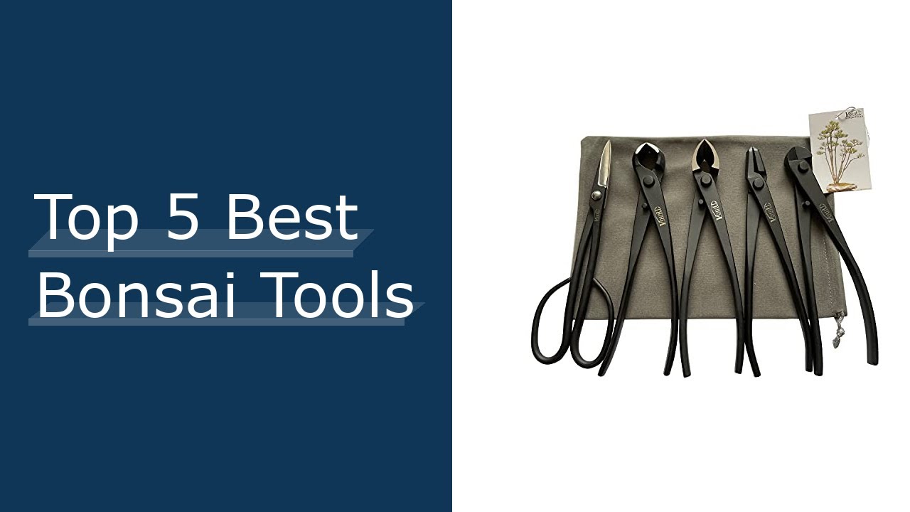 Top 5 Best Bonsai Tools Reviews With Scores YouTube
