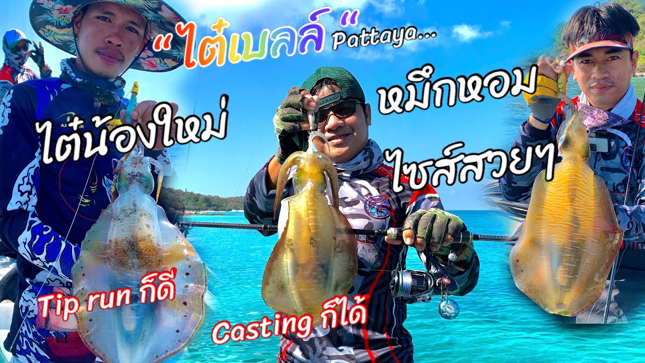 ตกหมึกกับไต๋น้องใหม่ ไต๋เบลล์ Tip run ก็ได้ Casting ก็ดี โคตรมันส์เลยครับทริปนี้