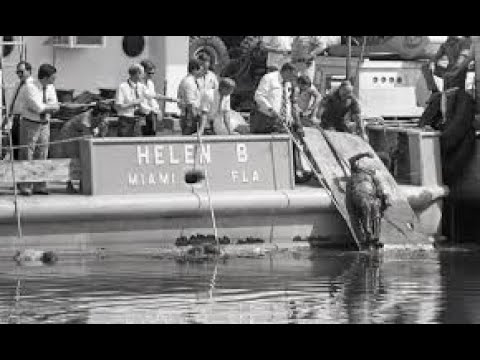 The Miami River Cops Scandal Corruption in the 1980s Miami Police Force