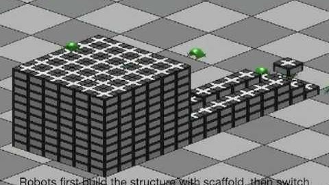TERMES Project: Algorithmic Self-Assembly