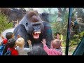 RUN NOW - Funny Babies Scared of Seeing Animals ★ Funny Babies and Pets