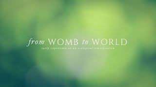 womb to world. Early Experience as an Ecological Consideration