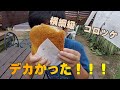 【小学生・ソラト】龍ケ崎コロッケを食べてきました！