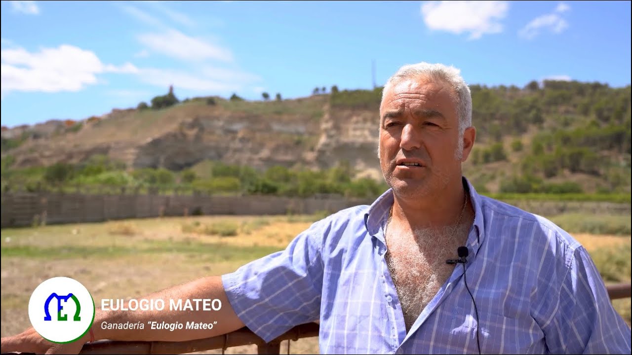 VISITA A GANADERÍAS | VÍDEO OFICIAL | COMISIÓN DE TOROS SEGORBE 2023