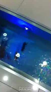 ديكور في أرضية الصيدليه عجبني روعه - Keek