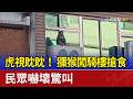 虎視眈眈！ 獼猴闖騎樓搶食 民眾嚇壞驚叫