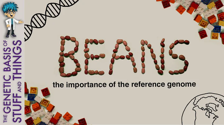 BEANS: the importance of the reference genome