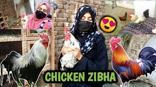 First Time Slaughter A big Beautiful Chicken 🐓 | Chicken Slaughter By Girl🧕 | HT family vlog ❤️