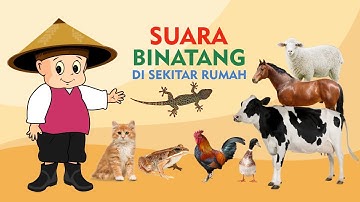 Mengenal Suara Hewan - Slow TV Bahasa Indonesia