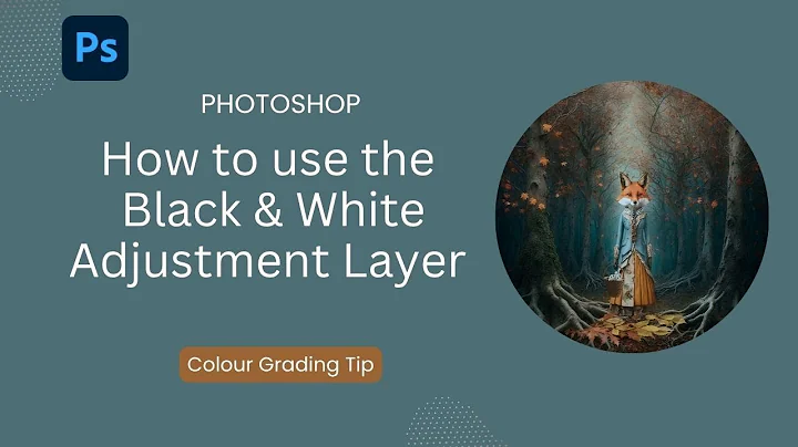 Black White Adjustment Layer for Colour Grading