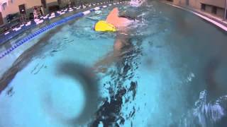 Frank - Winter 2014 Total Immersion Masters Student - Progress Video