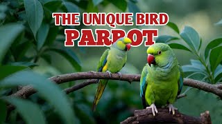 Parrots As The Unique Bird