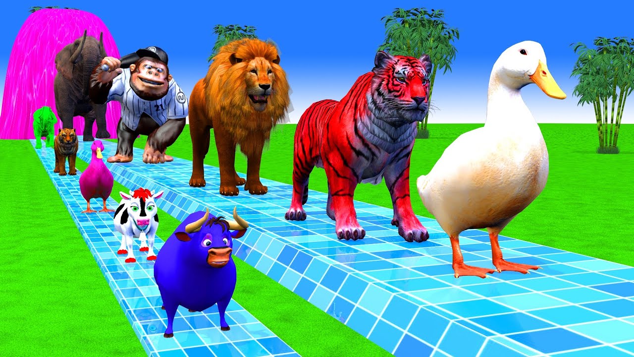 Long Slide Game With Cow Elephant Gorilla Hippopotamus Tiger 3d Animal Game Funny 3d Animals