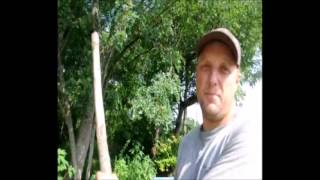 Why deer hurt trees beyond eating and rubbing