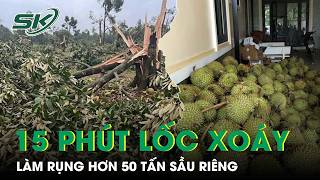 50 tấn sầu riêng rụng trắng vườn chỉ sau 15 phút lốc xoáy ở Lâm Đồng | SKĐS