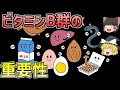 【ゆっくり解説】あなたの疲れ、ビタミンB不足が原因かも！？ビタミンB群の重要性について徹底解説
