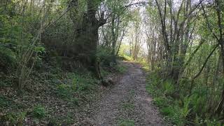Callejeando por Robriguero, de Bolenga a La Llaín