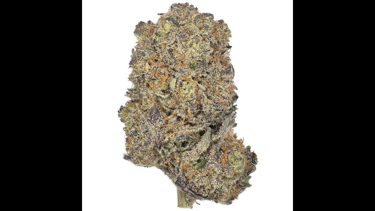 Green Society Online Dispensary - LSD