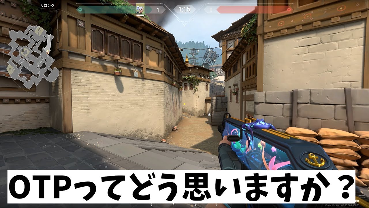 VALORANT法律部門　OTP