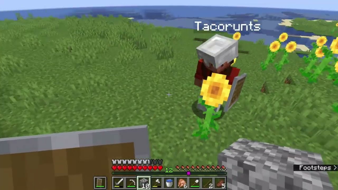 episode #2 of playing on a server with a friend (minecraft)