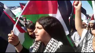 مشاركة واسعة في مسيرة الاعلام الفلسطينية الاولى بام الفحم