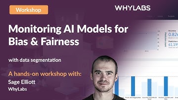 Monitoring AI Models for Bias & Fairness with Segmentation