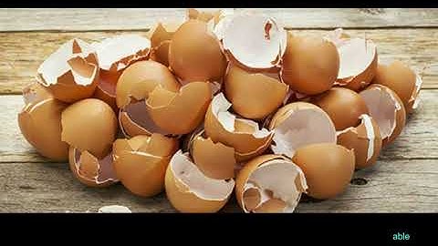 Removal of Methylene Blue from Aqueous Solution Using Chicken Eggshell Waste