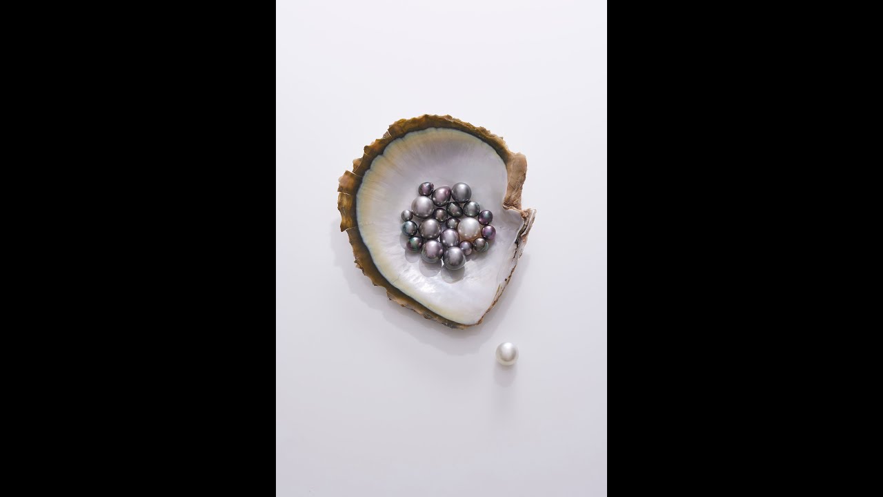 La perle : histoire, science et légends