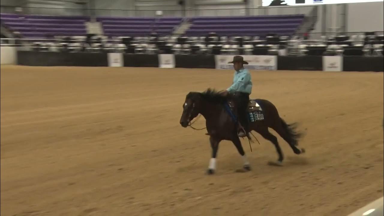 All Star Reining Stakes Open Derby 73023 Anthony Suratt on Nite Tripps