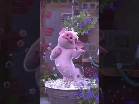 #cute #pig dancing