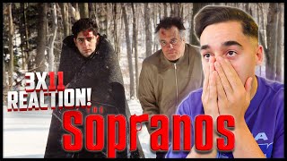 FILM STUDENT WATCHES *THE SOPRANOS* s3ep11 for the FIRST TIME 'Pine Barrens' Reaction!