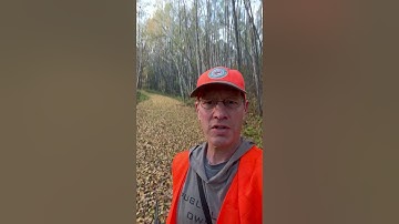 Northern Minnesota/Chippewa National Forest ruffed grouse hunting Day 3 (10/5/25)