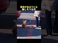 散歩があまりにも散歩があまりにも