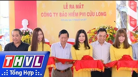 Baảo hiểm pvi thanh toán ở công ty