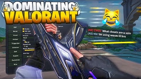 Dominating High Elo Lobbies With Valorant Cheats...(INSANE RESULTS) 👀