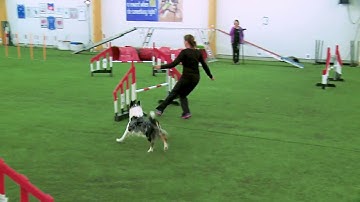 International Agility Training Week - Backside Send to a Blind - preview