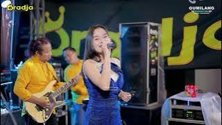 D'RADJA IS DEFINITELY - DON'T HOLD A REVENGE - SAHMA FELLA - WEDDING DEDI & WINDI - PENDEM KEMBAN...